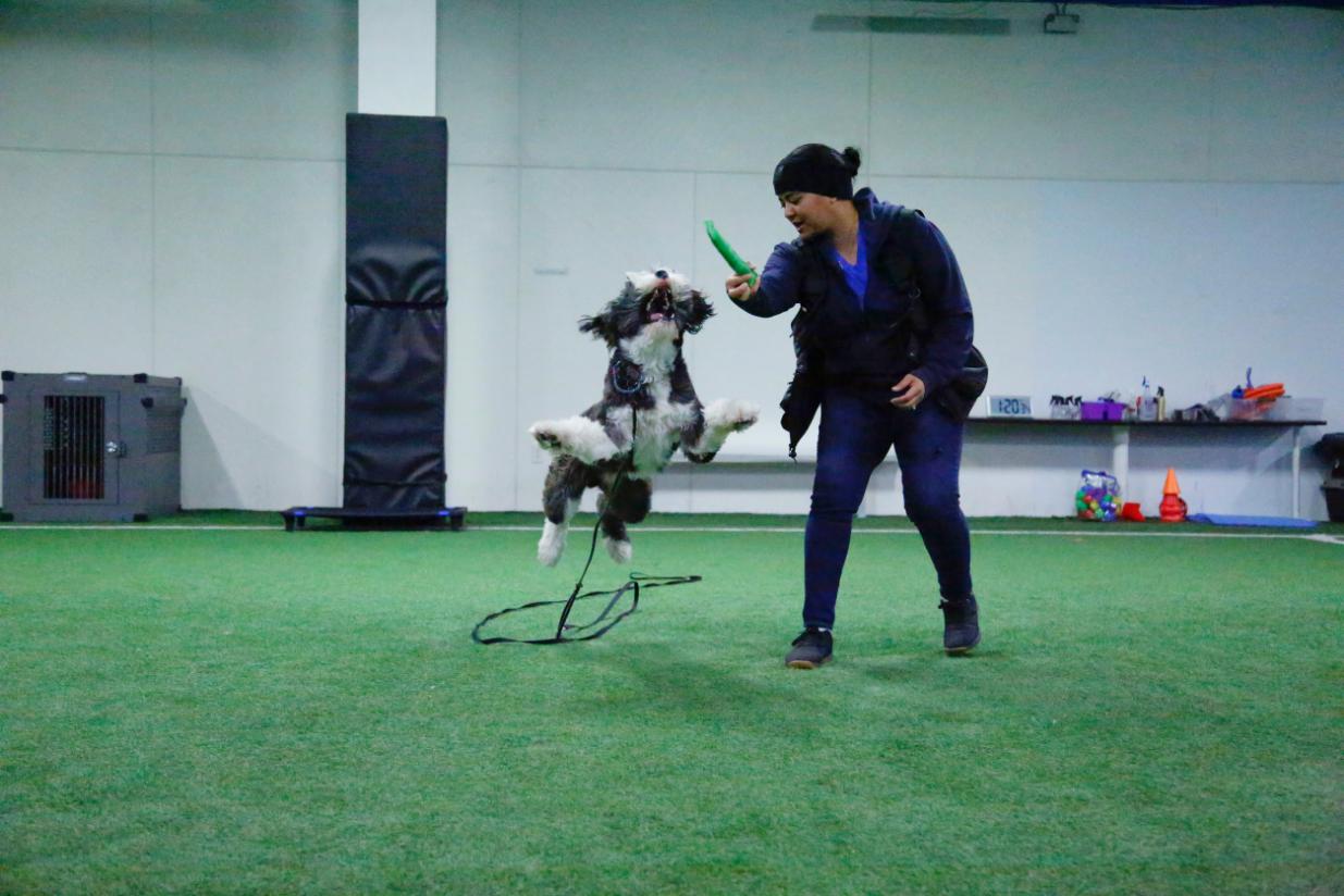 Custom Training Plan
